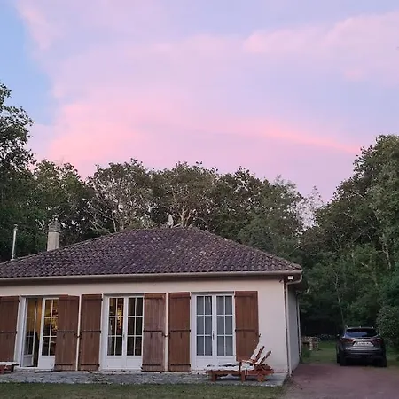 Maison Confortable En Foret Pres Des Plages Aucun Voisinage Hébergement de vacances *